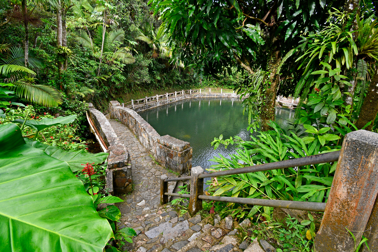 nov11-puertorico-adobestock_544504128
