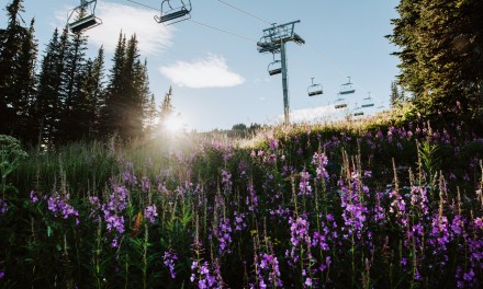 Fun in the sun: Sun Peaks is a low-key, year-round playground