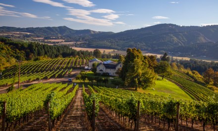 Weekender: Pinot, Portland & Pickathon